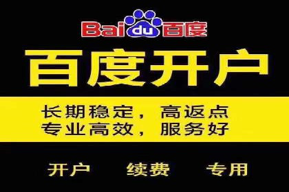 竞价广告案例分享：XX电商平台的成功秘诀
